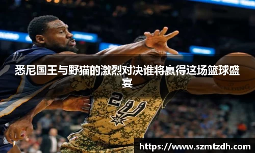 悉尼国王与野猫的激烈对决谁将赢得这场篮球盛宴